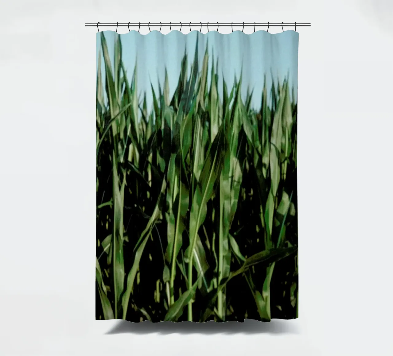 Analog Series Corn Fields tenda da doccia da Sebastian Hilgetag
