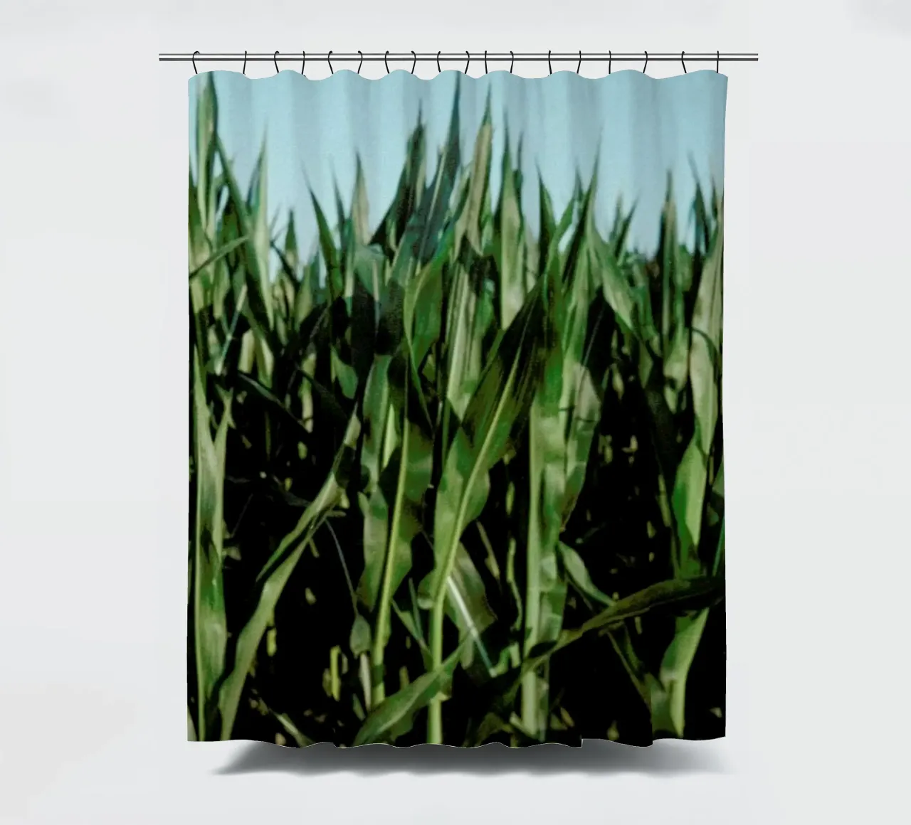 Analog Series Corn Fields tenda da doccia da Sebastian Hilgetag
