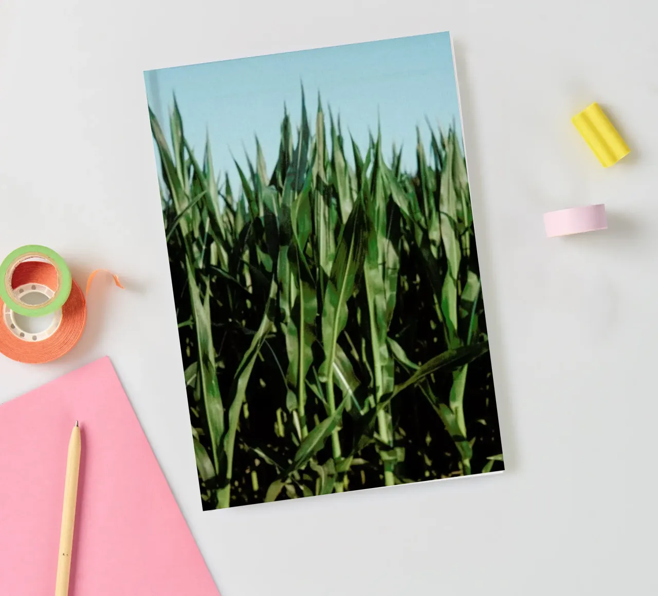 Analog Series Corn Fields diario da Sebastian Hilgetag