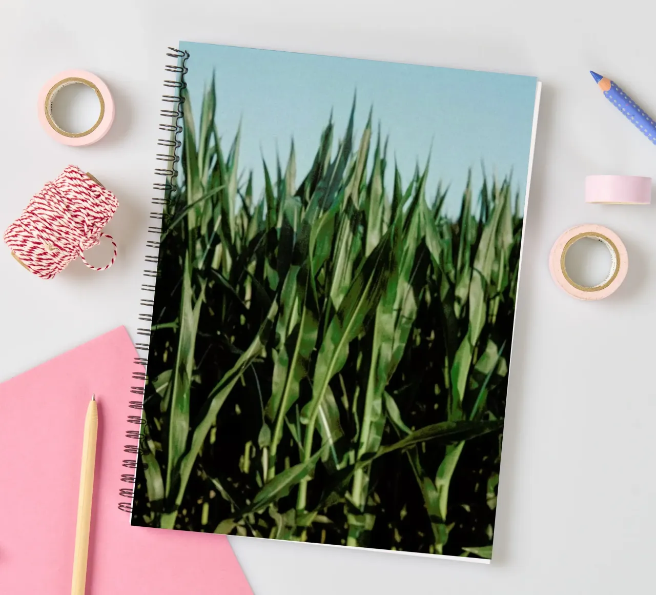 Analog Series Corn Fields diario ad anelli da Sebastian Hilgetag