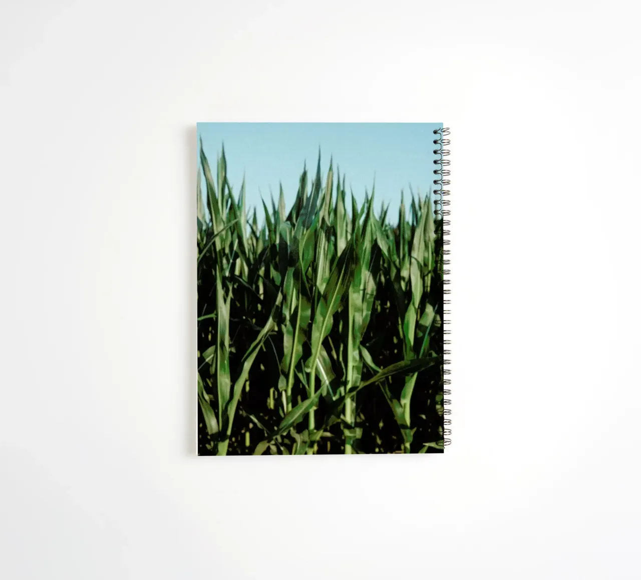 Analog Series Corn Fields diario ad anelli da Sebastian Hilgetag