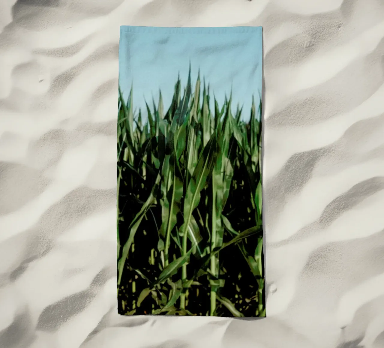 Analog Series Corn Fields telo mare da Sebastian Hilgetag