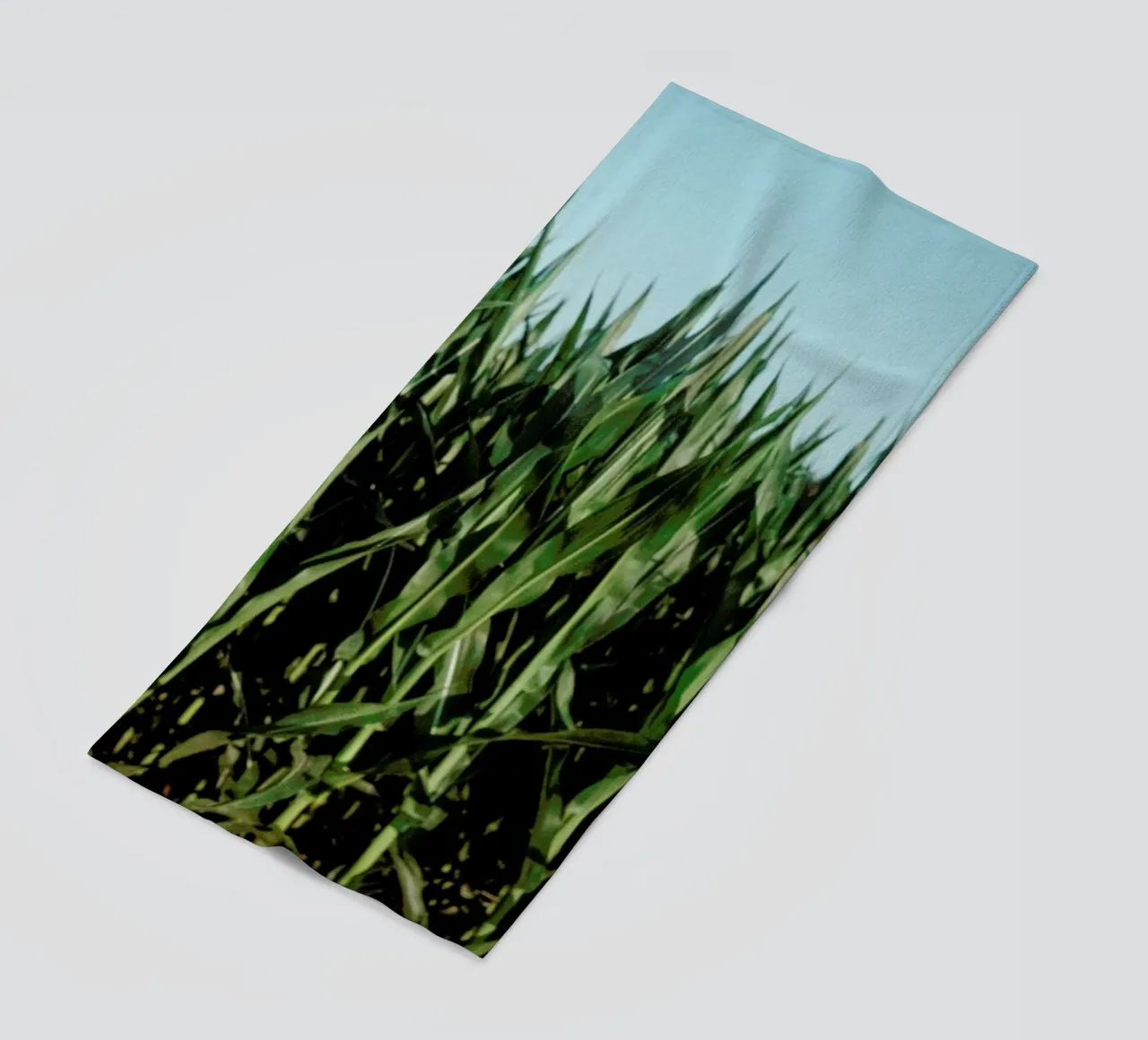 Analog Series Corn Fields telo mare da Sebastian Hilgetag