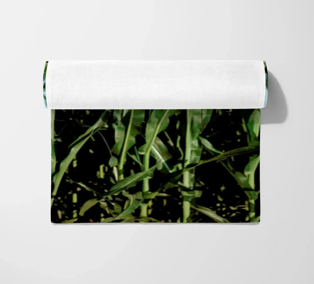 Analog Series Corn Fields telo mare da Sebastian Hilgetag