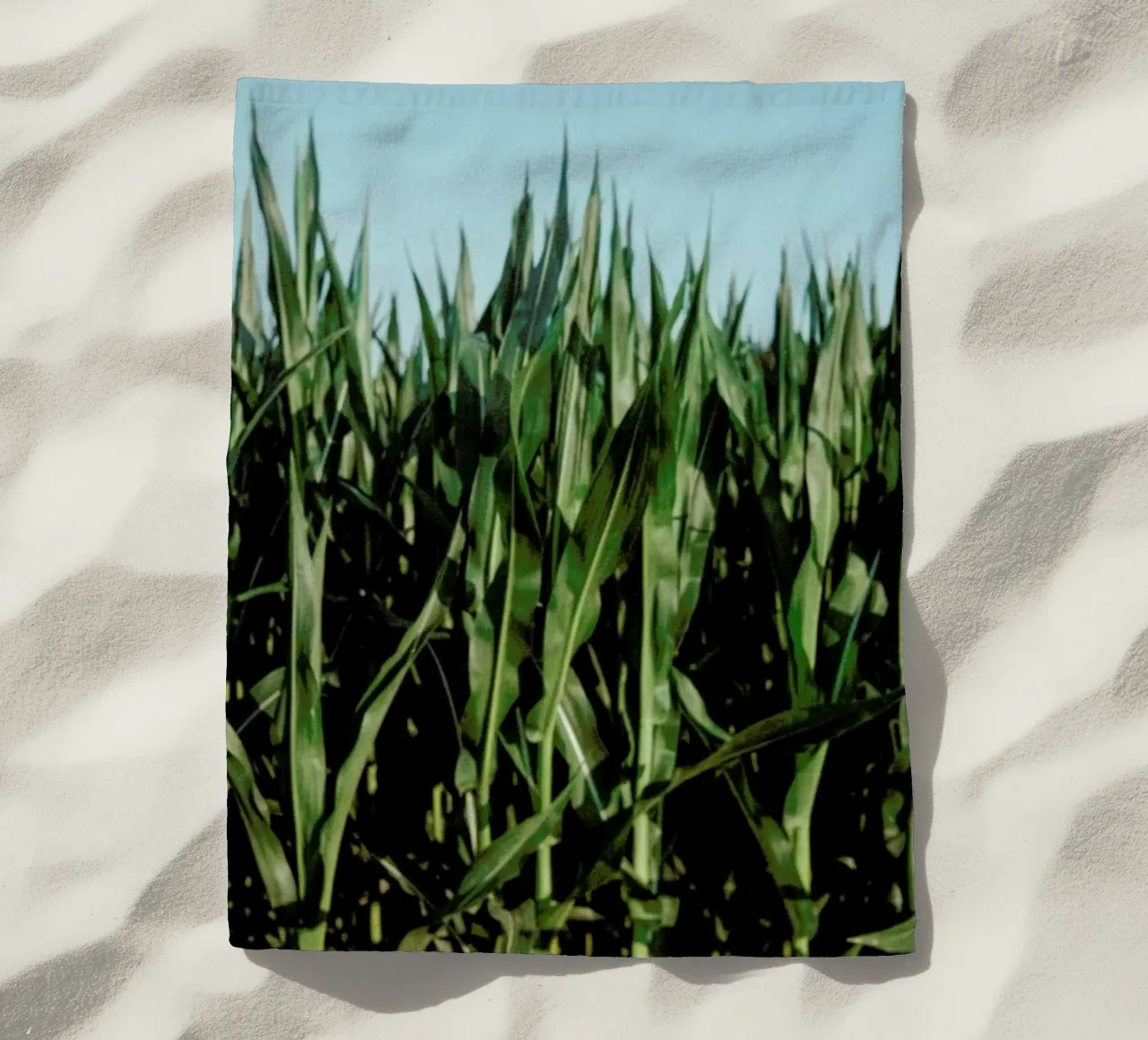 Analog Series Corn Fields telo mare da Sebastian Hilgetag