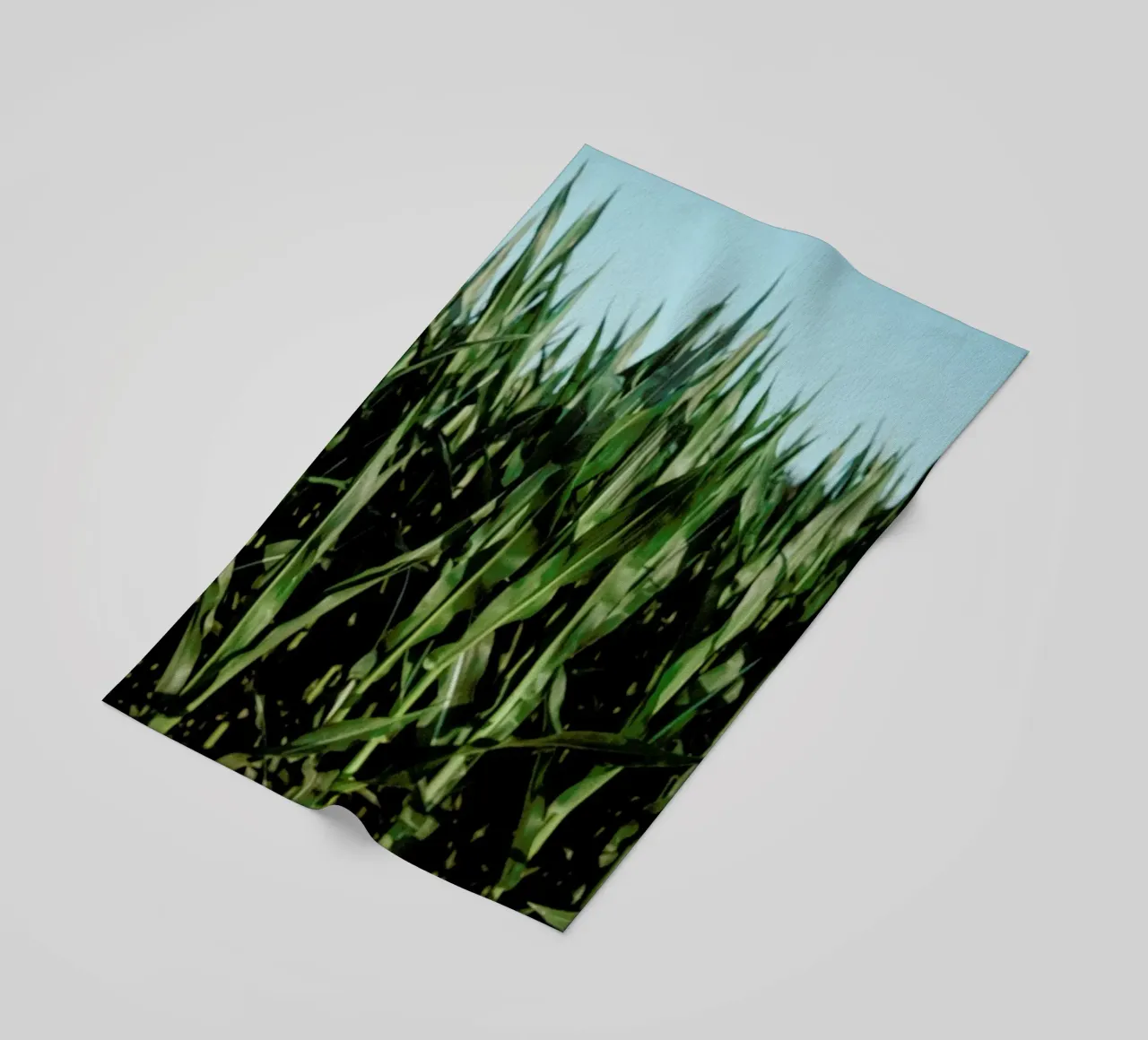 Analog Series Corn Fields telo mare da Sebastian Hilgetag