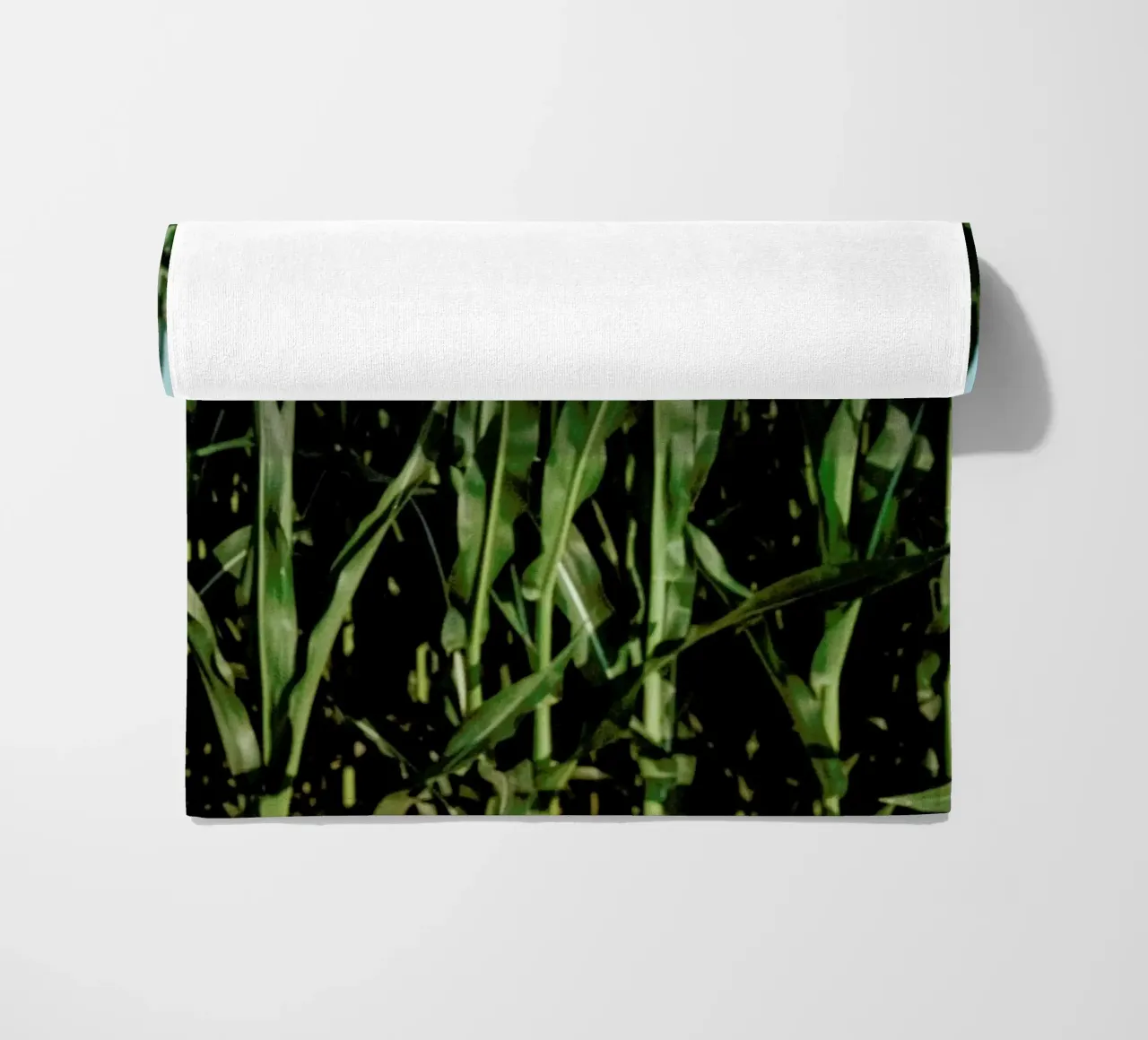Analog Series Corn Fields telo mare da Sebastian Hilgetag
