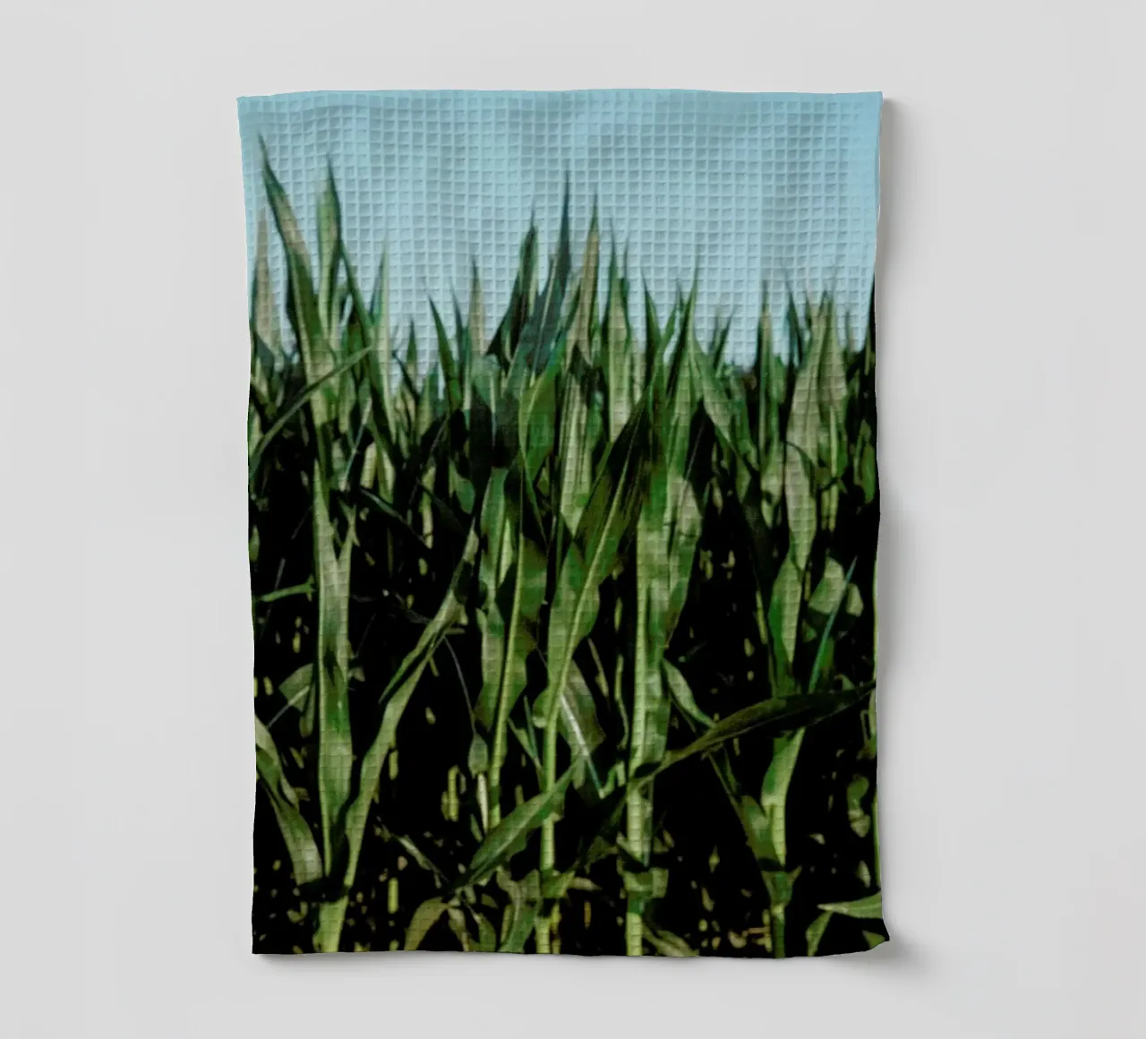 Analog Series Corn Fields canovaccio da cucina da Sebastian Hilgetag
