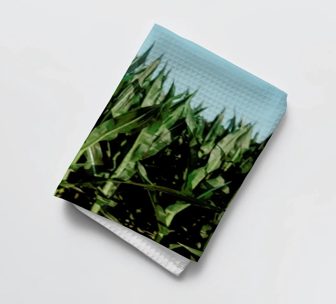 Analog Series Corn Fields canovaccio da cucina da Sebastian Hilgetag