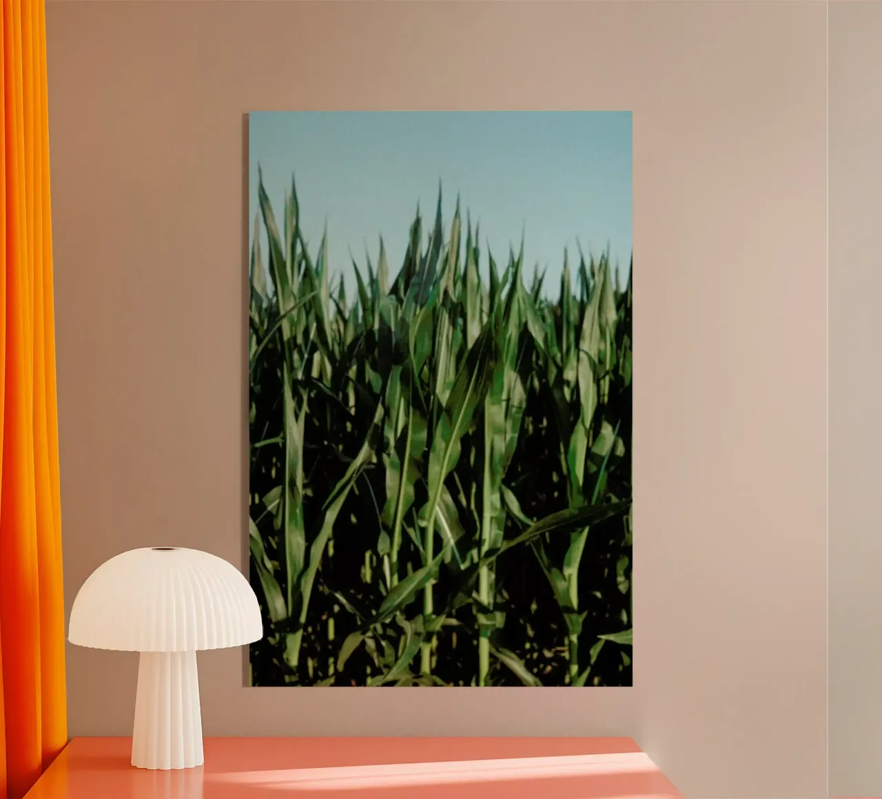 Analog Series Corn Fields plexiglass da Sebastian Hilgetag