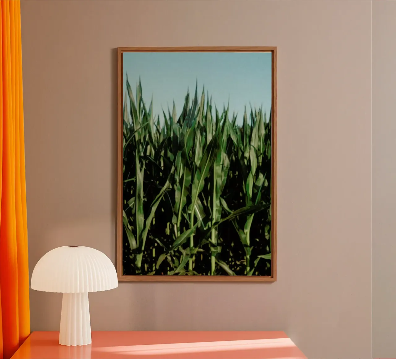 Analog Series Corn Fields pannello forex da Sebastian Hilgetag