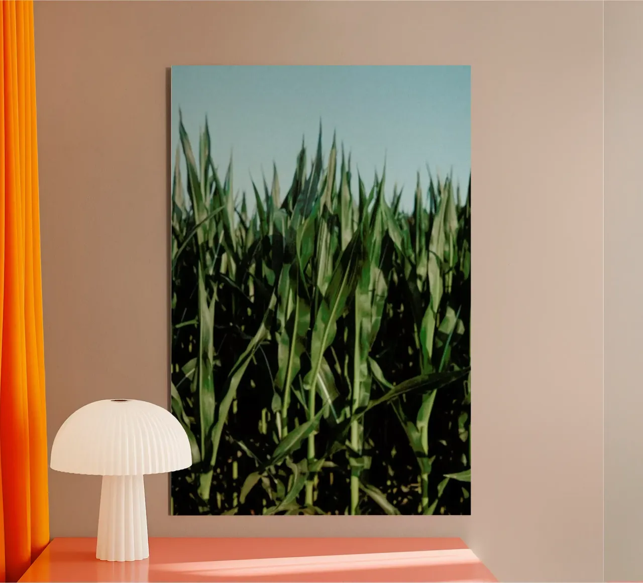 Analog Series Corn Fields pannello forex da Sebastian Hilgetag