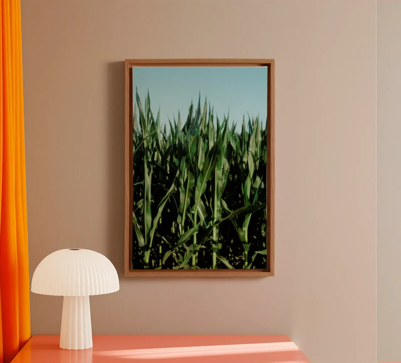 Analog Series Corn Fields tela da Sebastian Hilgetag