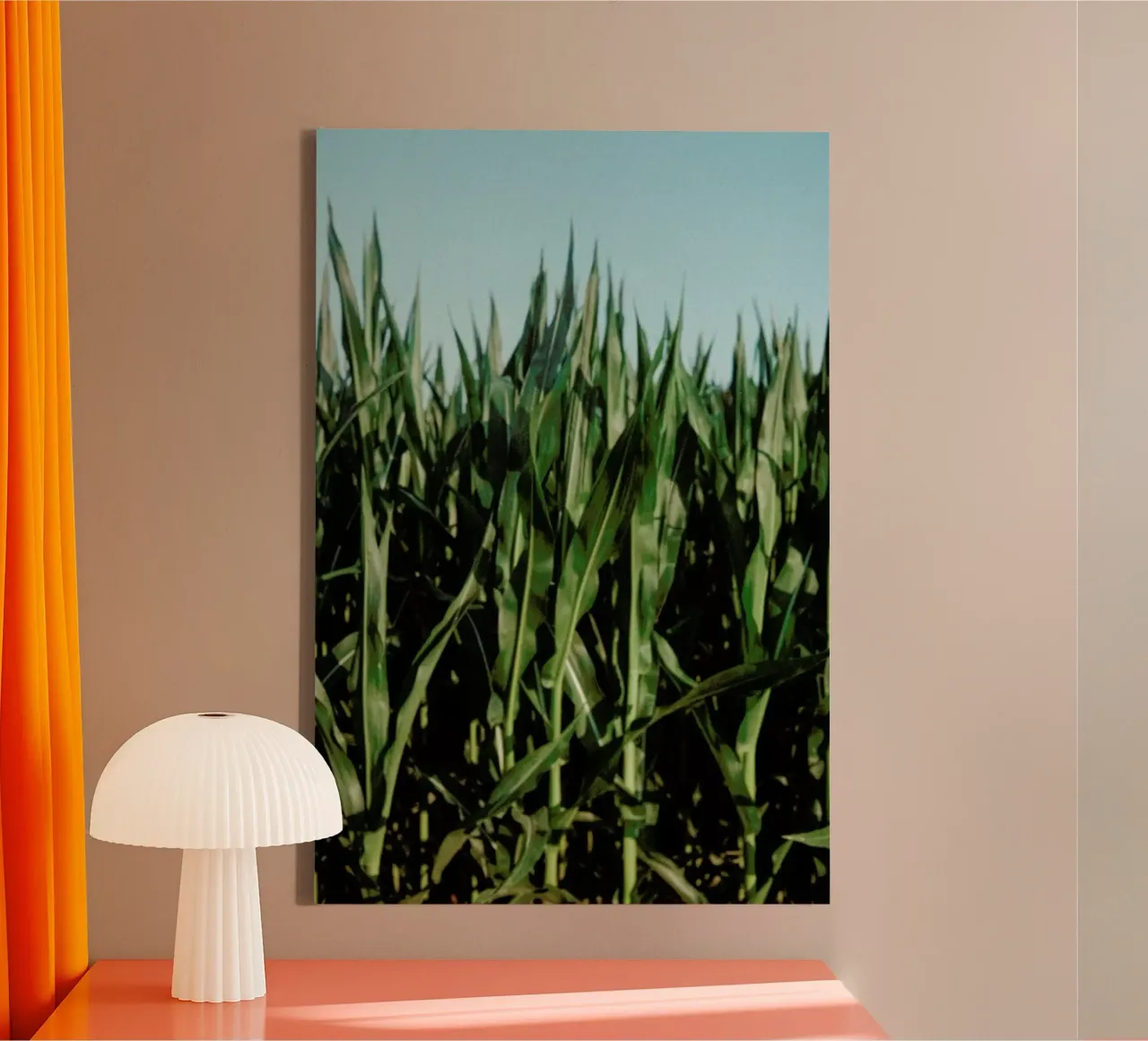Analog Series Corn Fields tela da Sebastian Hilgetag