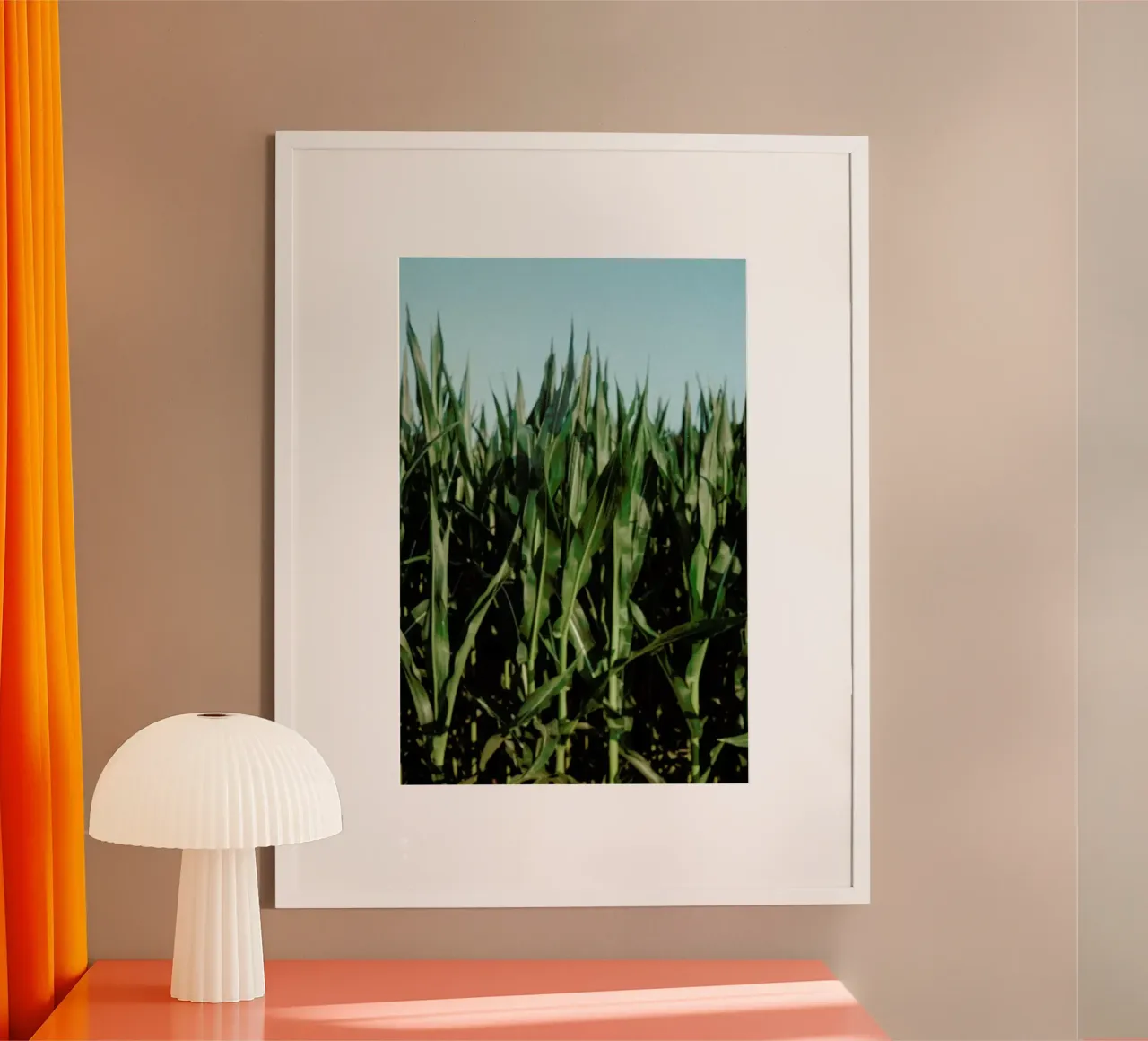 Analog Series Corn Fields carta hahnemühle da Sebastian Hilgetag