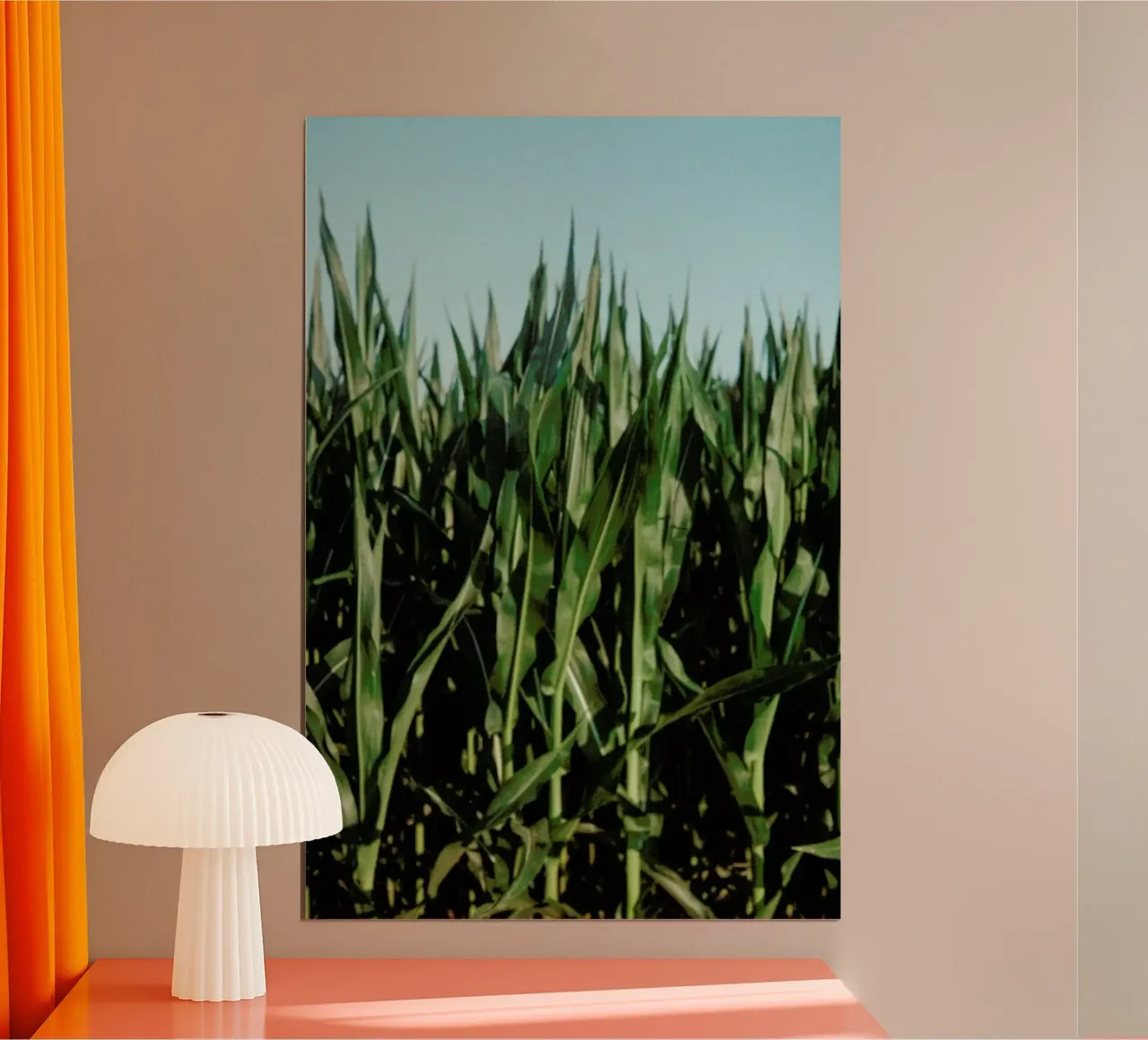 Analog Series Corn Fields hahnemühle de Sebastian Hilgetag