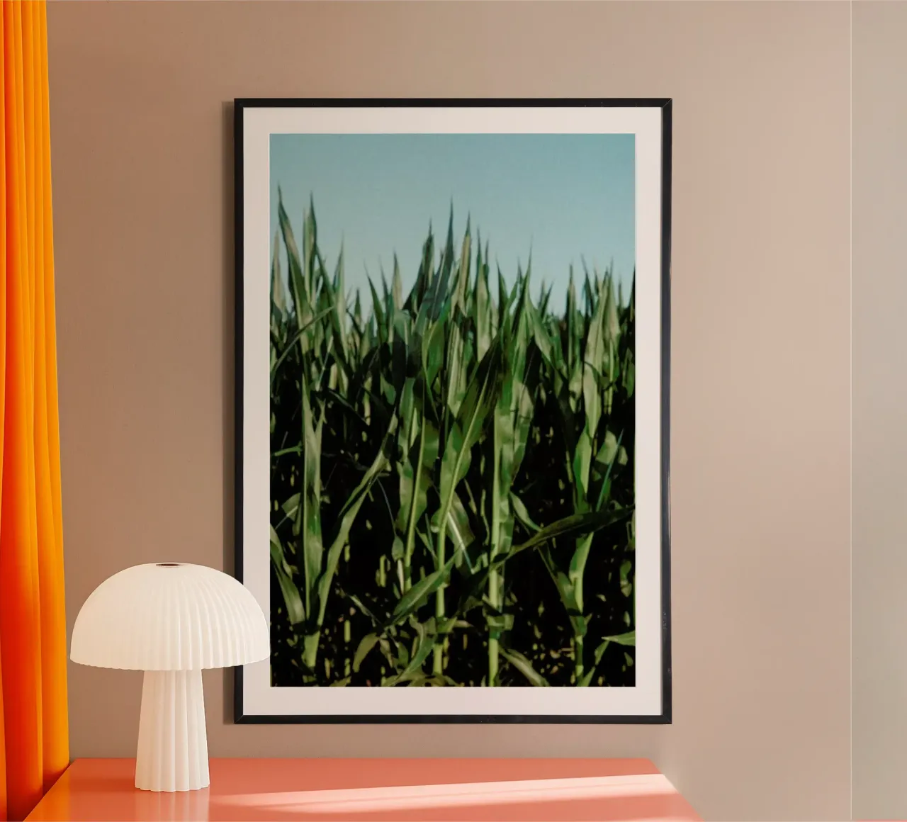 Analog Series Corn Fields hahnemühle de Sebastian Hilgetag