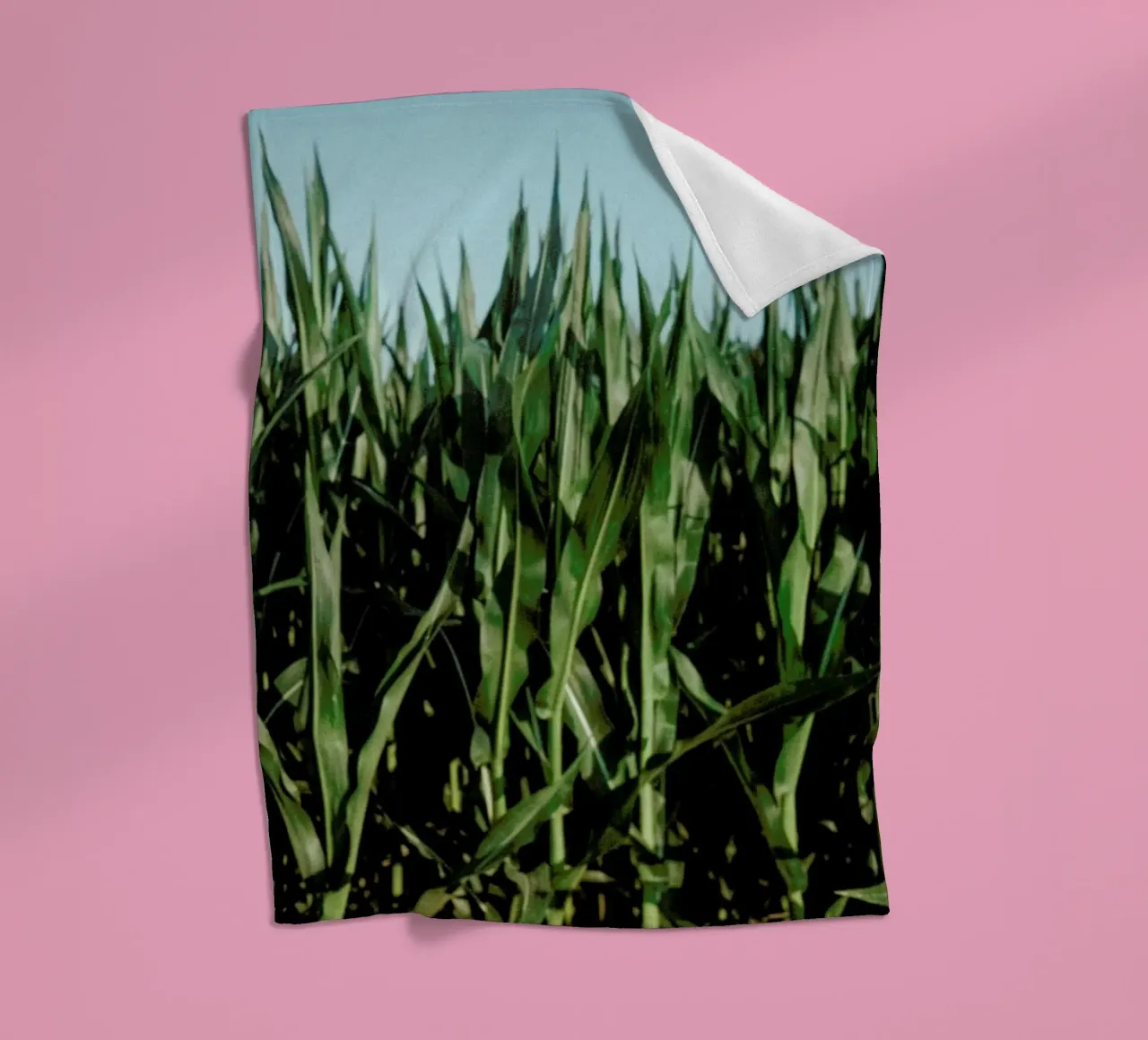 Analog Series Corn Fields coperta in pile da Sebastian Hilgetag