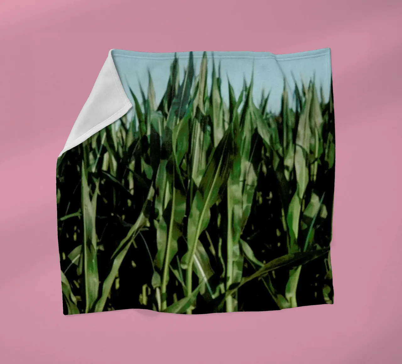 Analog Series Corn Fields coperta in pile da Sebastian Hilgetag
