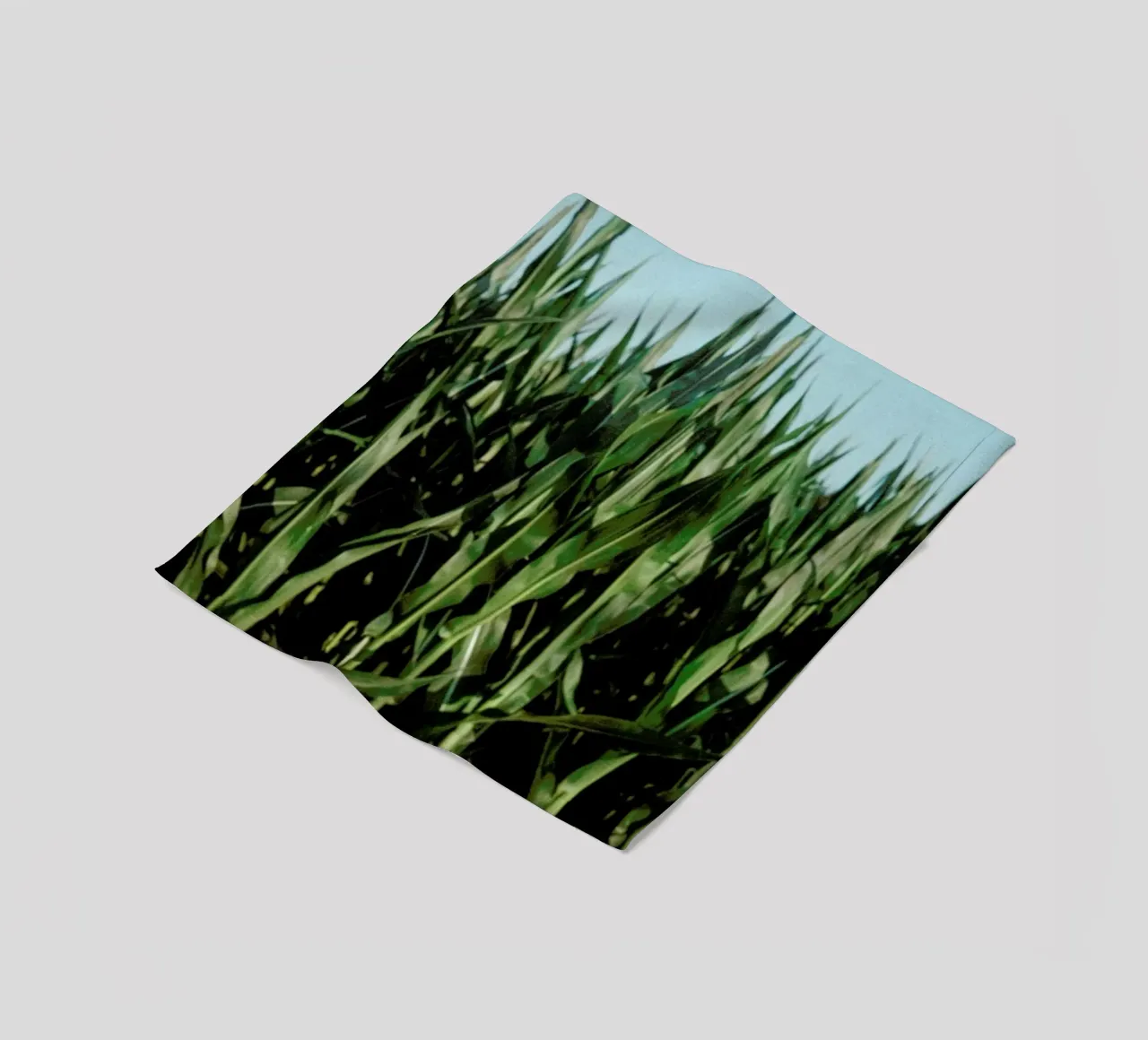 Analog Series Corn Fields coperta in pile da Sebastian Hilgetag