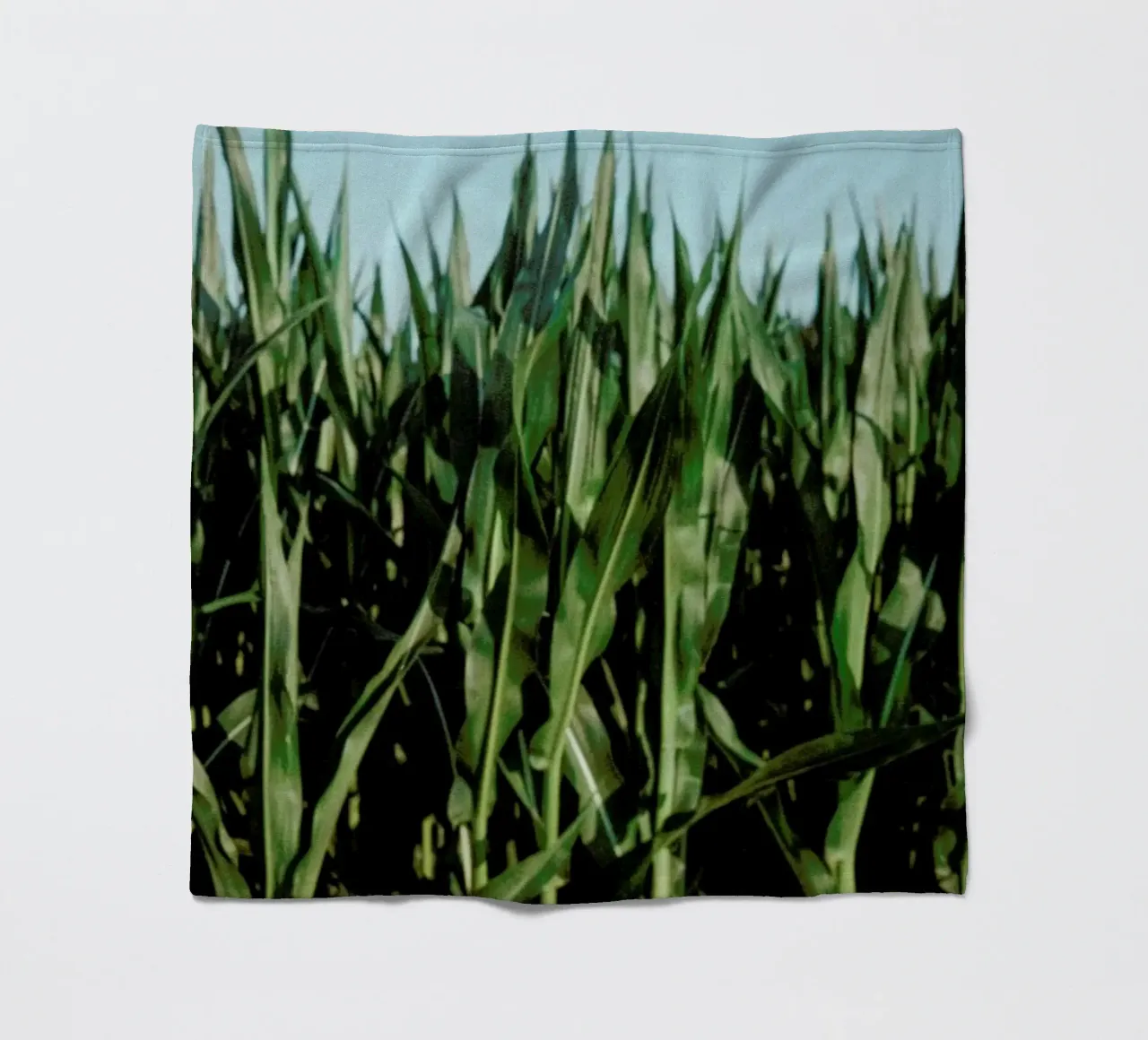 Analog Series Corn Fields coperta in pile da Sebastian Hilgetag