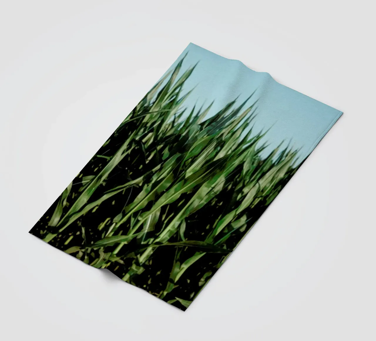 Analog Series Corn Fields coperta in pile da Sebastian Hilgetag