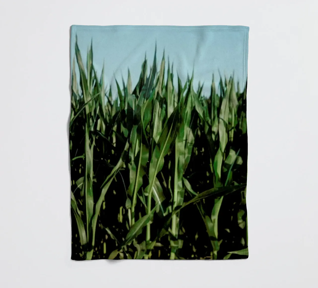 Analog Series Corn Fields coperta in pile da Sebastian Hilgetag