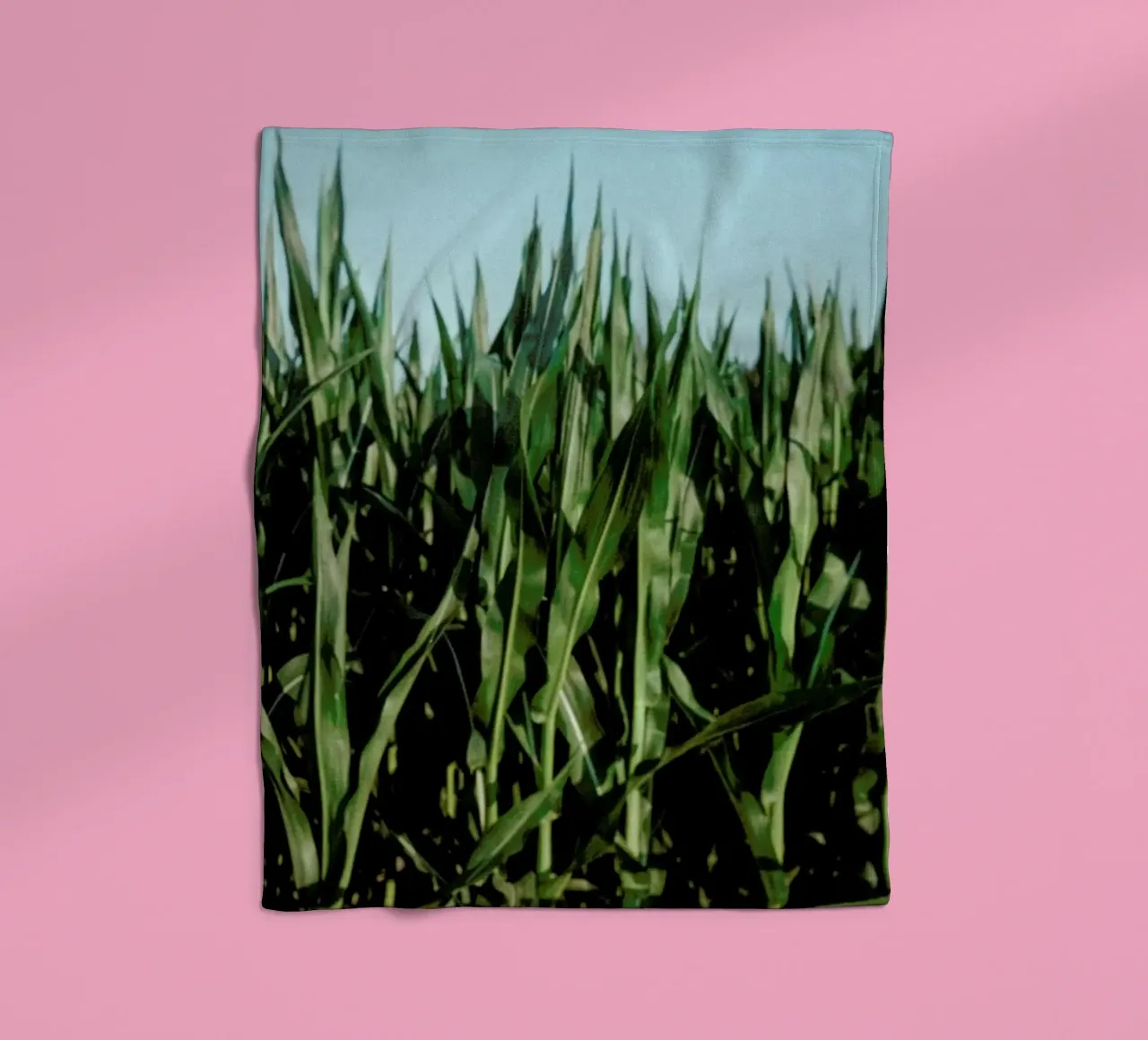 Analog Series Corn Fields coperta in pile da Sebastian Hilgetag
