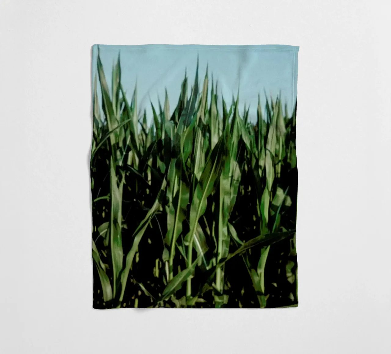 Analog Series Corn Fields coperta in pile da Sebastian Hilgetag