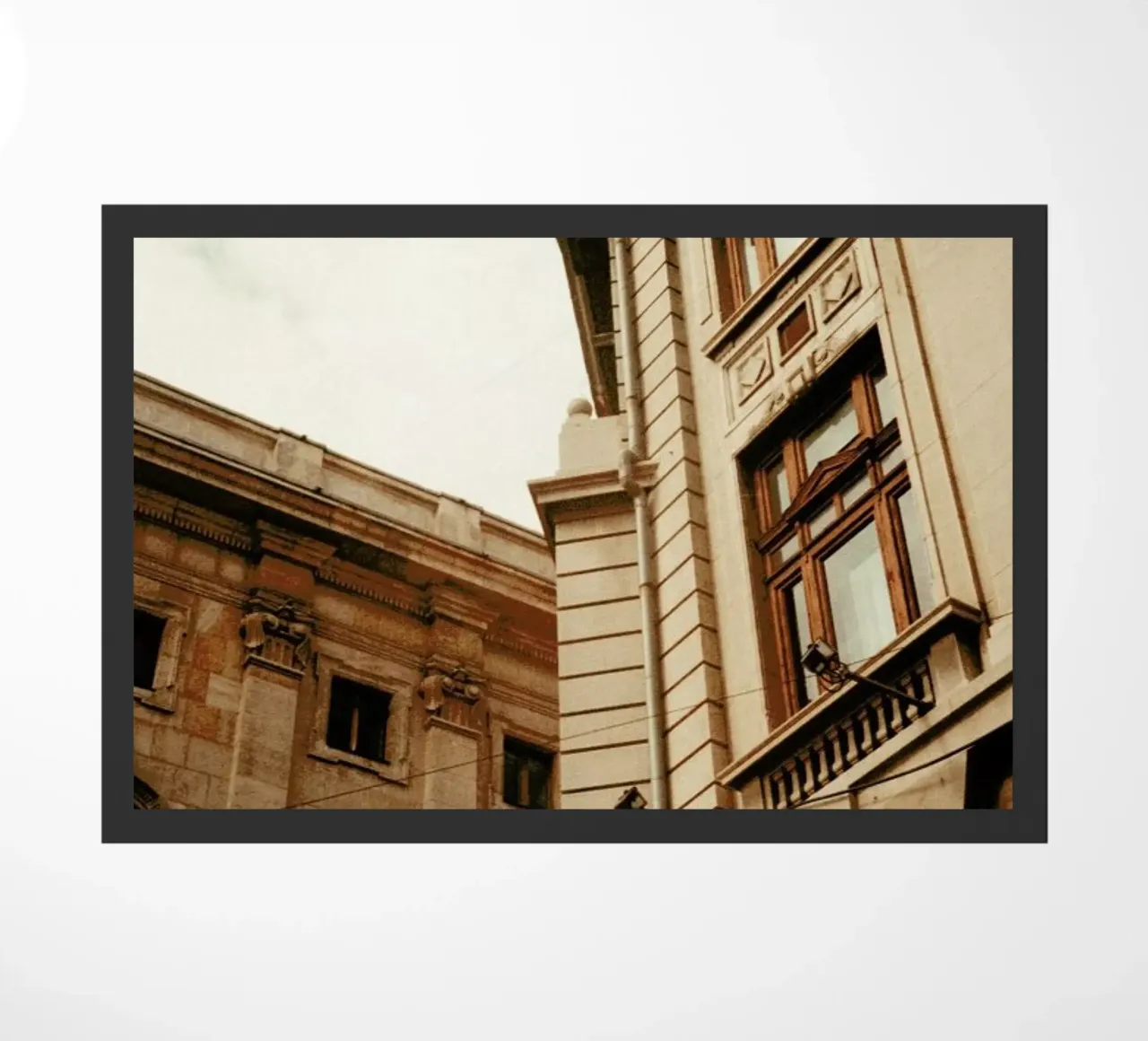 Analog Series The Corner zerbino da Sebastian Hilgetag