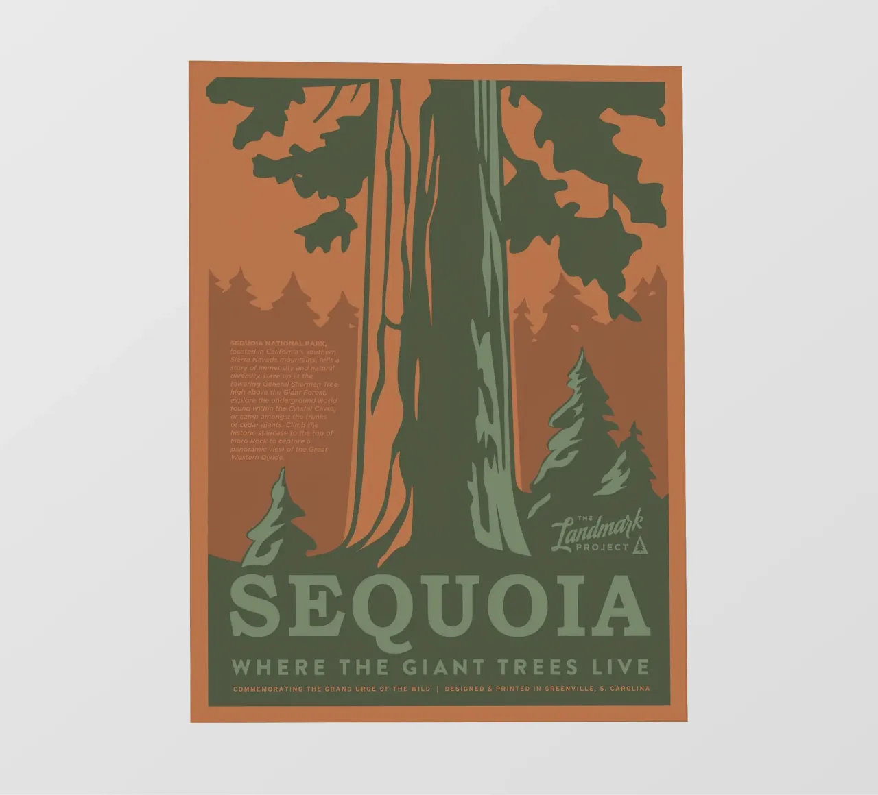 Parco nazionale di Sequoia pellicola backlit da williamsshop