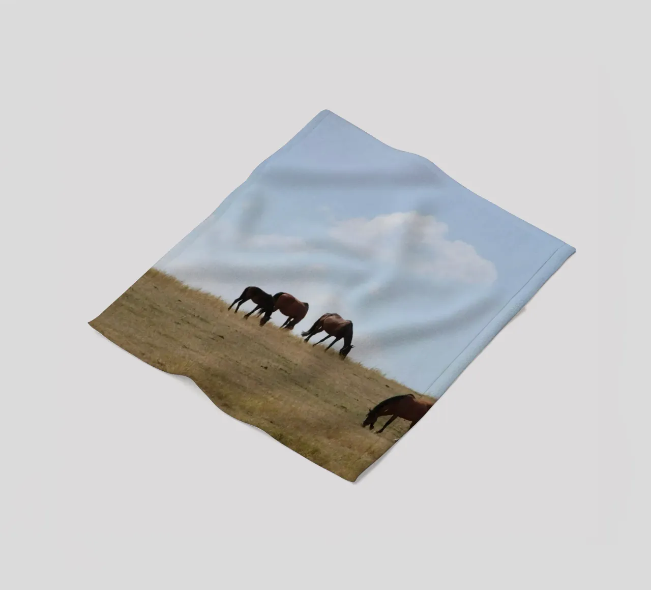 prato selvatico a grassy hill coperta in pile da Horsire