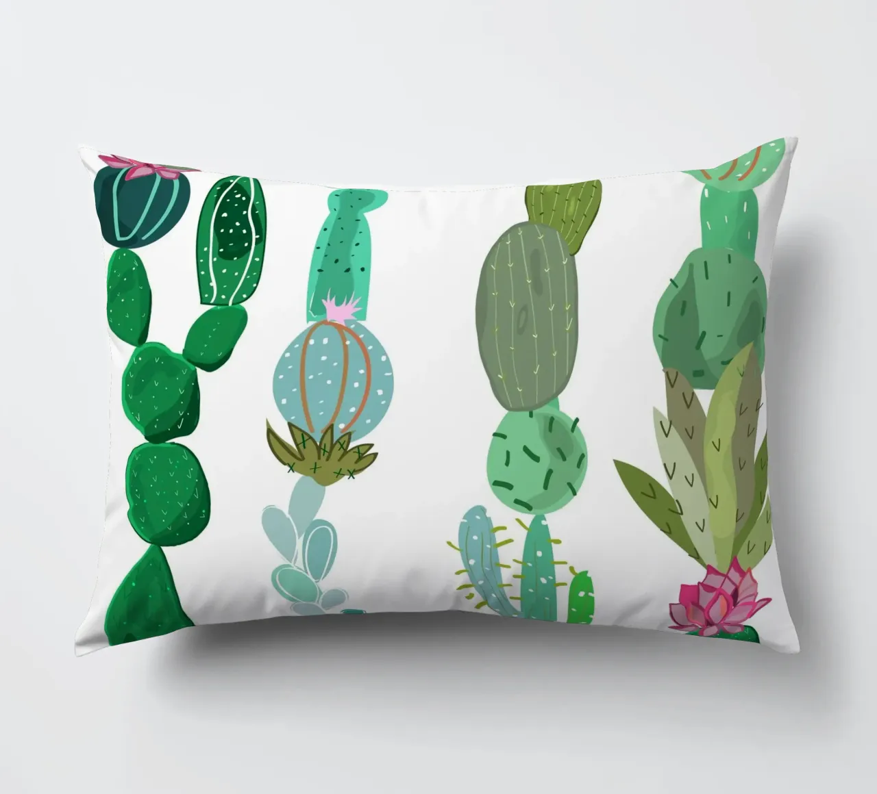 Cactus e succulente cuscino da gulsengunel
