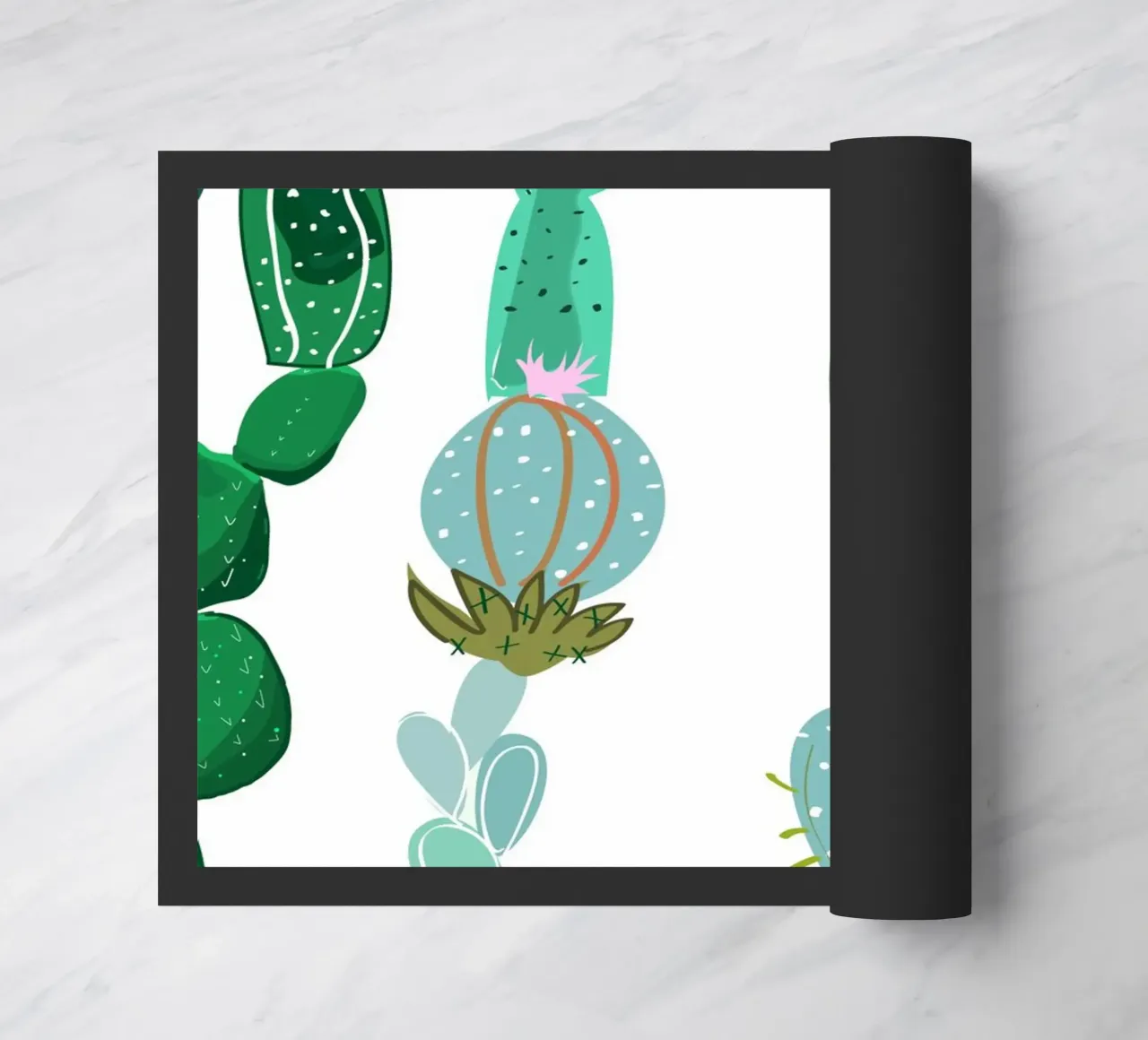 Cactus e succulente zerbino da gulsengunel