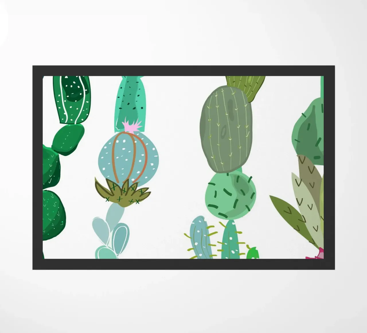 Cactus e succulente zerbino da gulsengunel