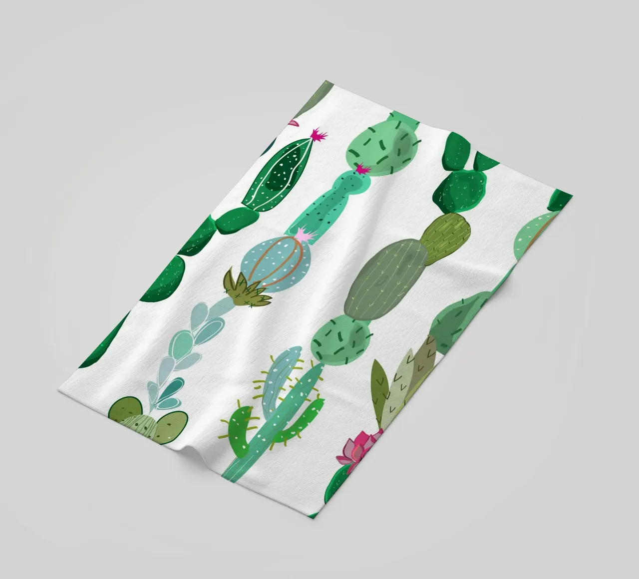 Cactus e succulente telo mare da gulsengunel