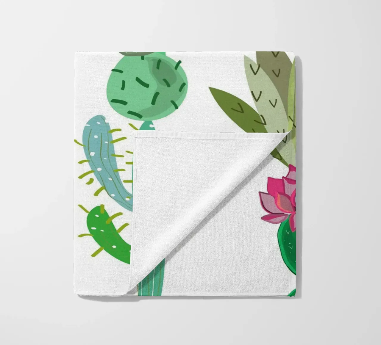 Cactus e succulente telo mare da gulsengunel