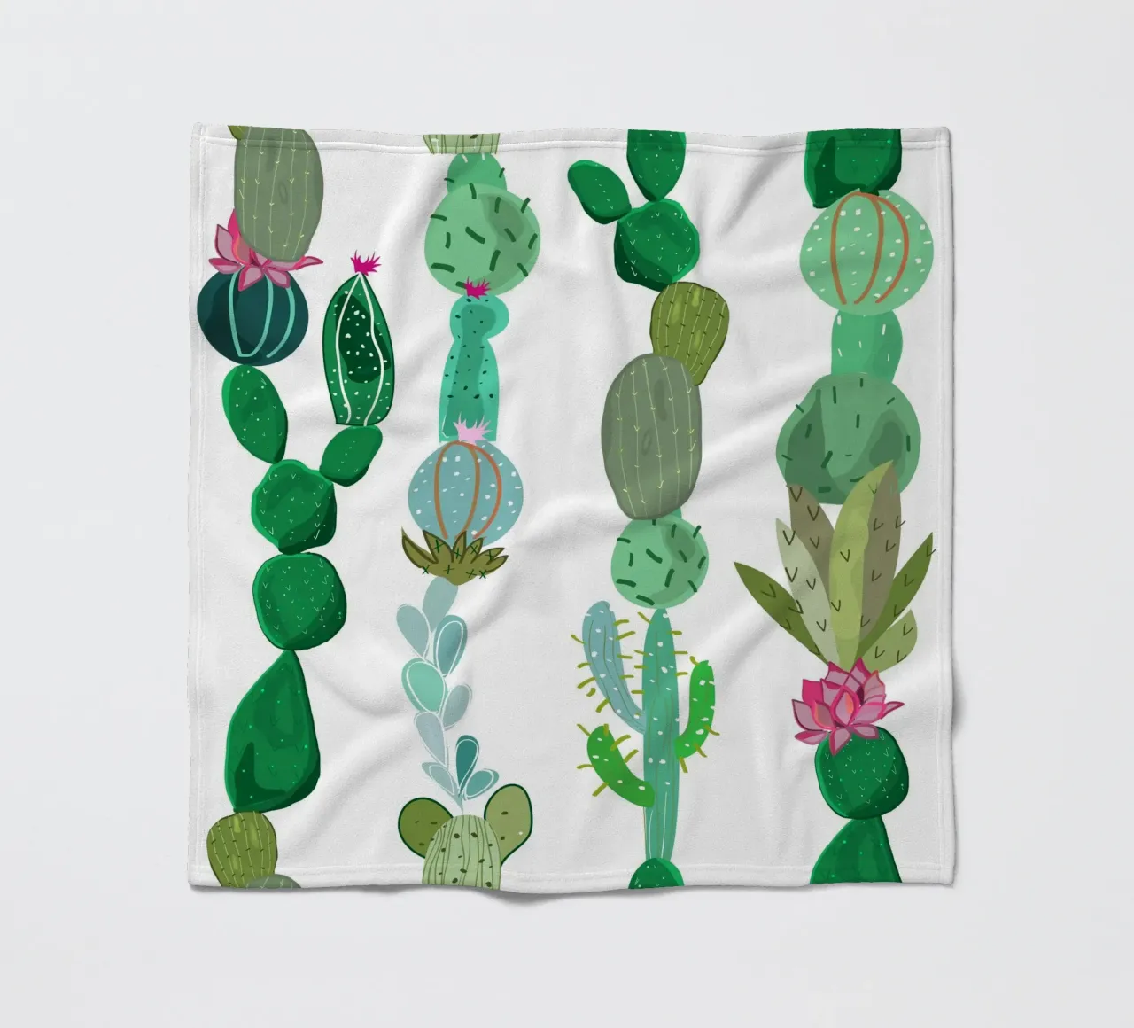 Cactus e succulente coperta in pile da gulsengunel