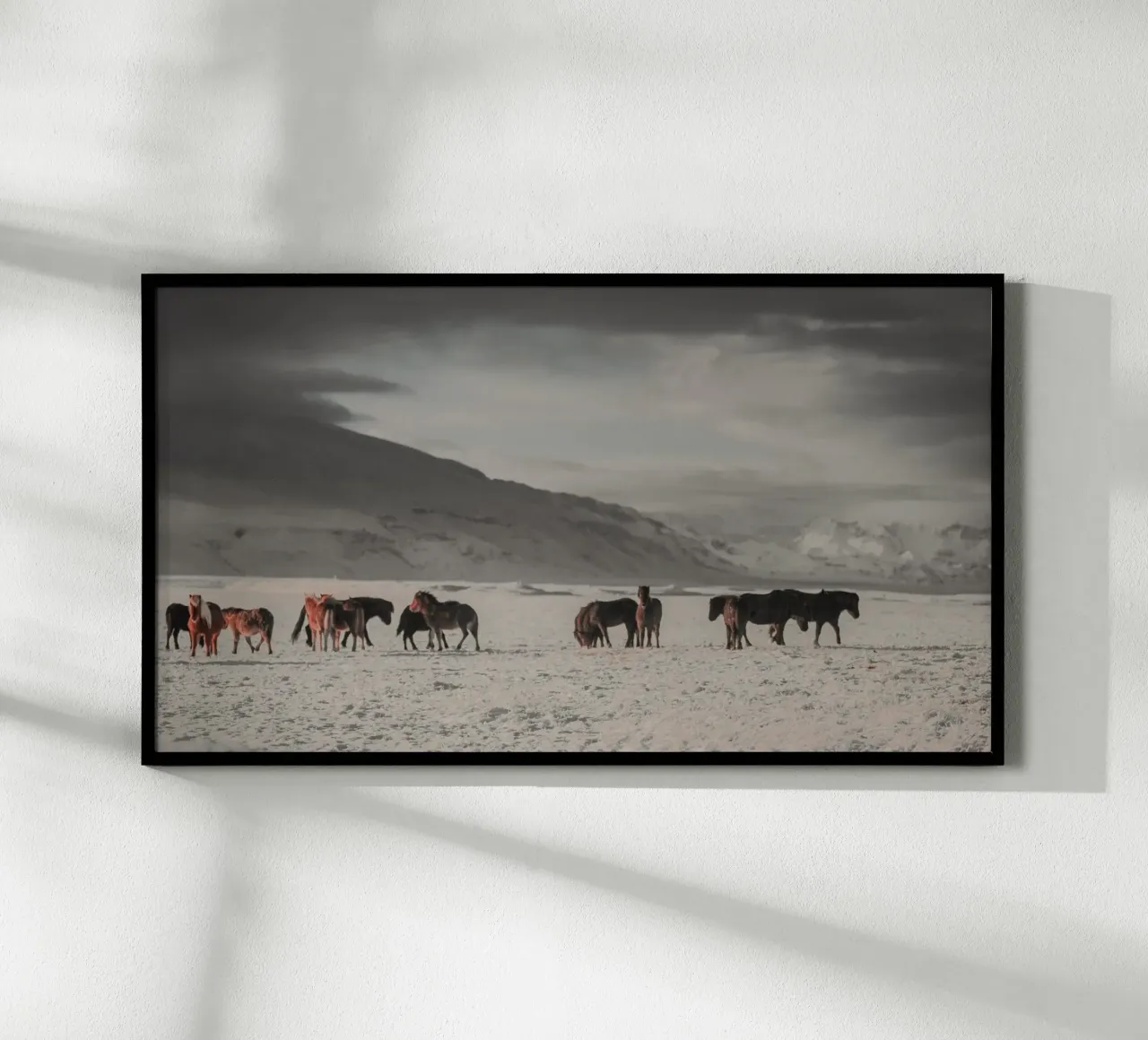 dieren in landschapskoude poster van Horsire