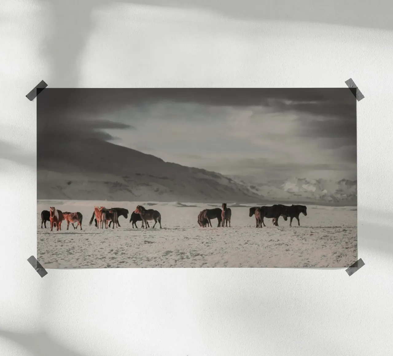dieren in landschapskoude poster van Horsire