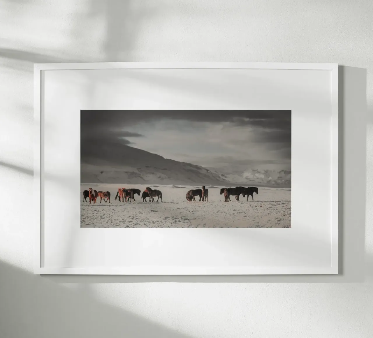 dieren in landschapskoude poster van Horsire