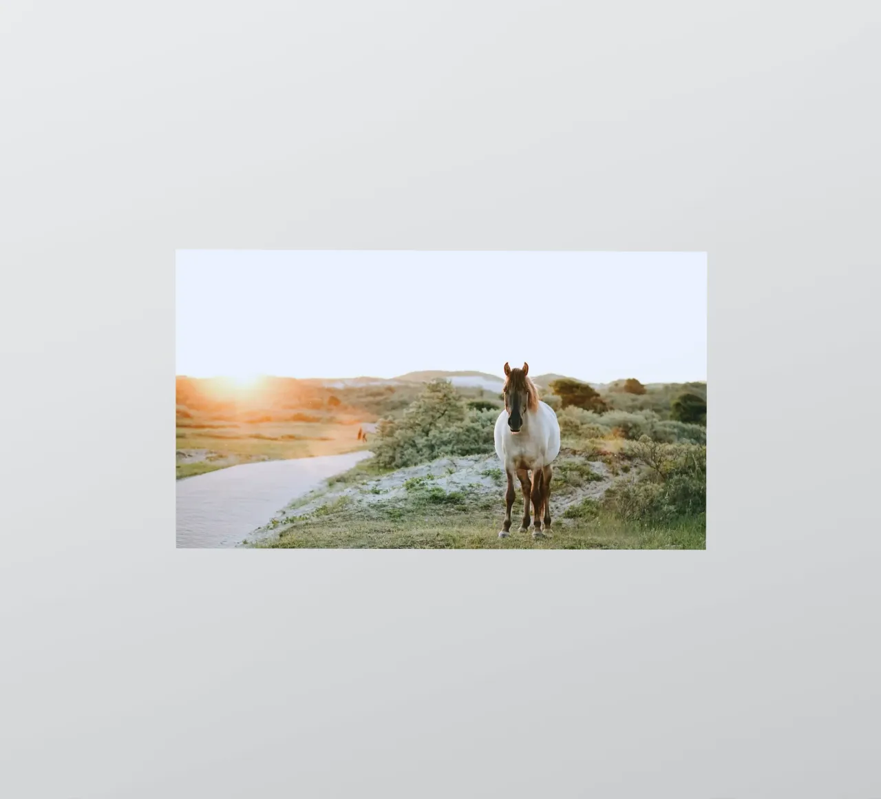 sunlight shrubbery sticker by Horsire