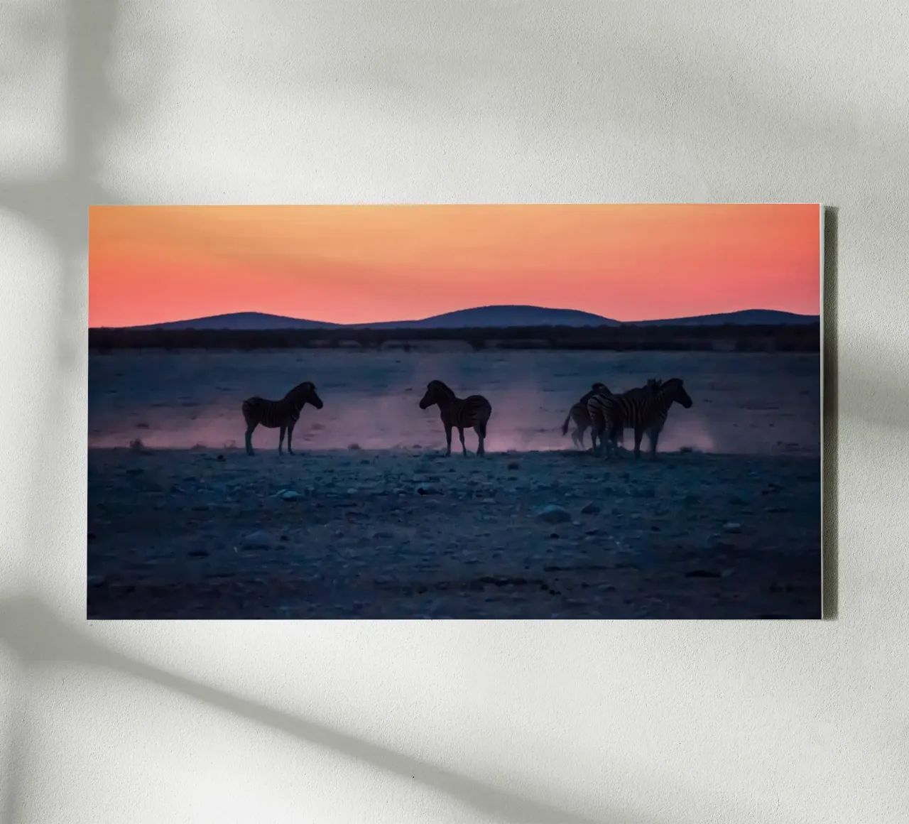 paard in zebra's zonsondergang canvas met Baklijst van Horsire