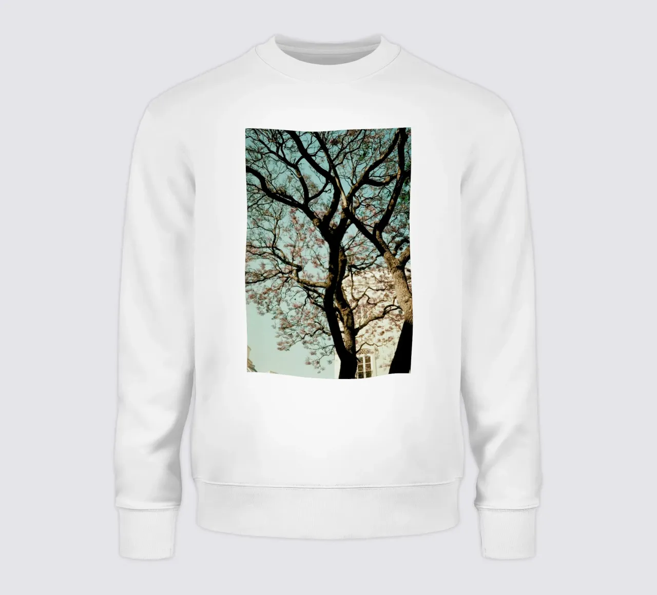 Analog Series The Tree In The City felpa da Sebastian Hilgetag