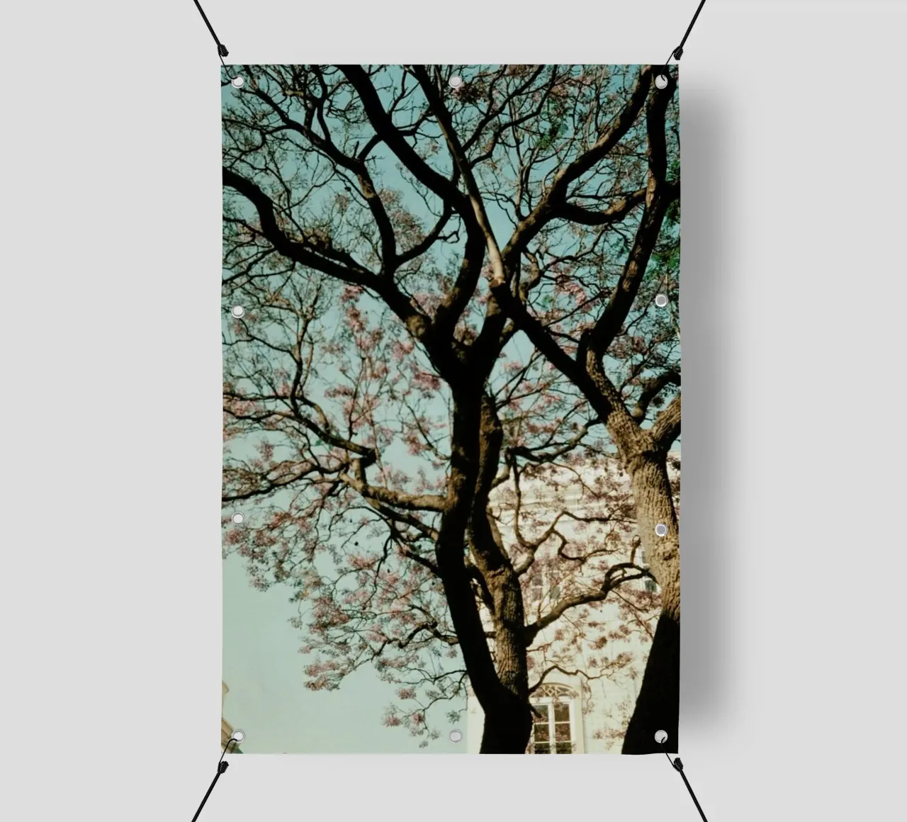 Analog Series The Tree In The City telo in pvc da Sebastian Hilgetag