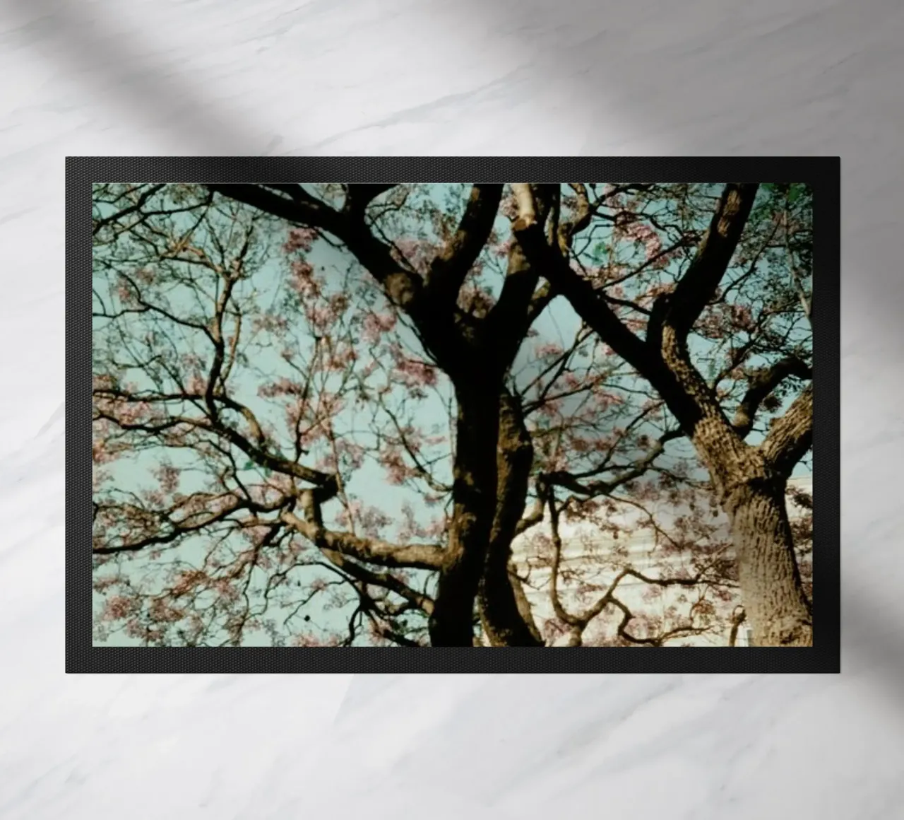 Analog Series The Tree In The City zerbino da Sebastian Hilgetag