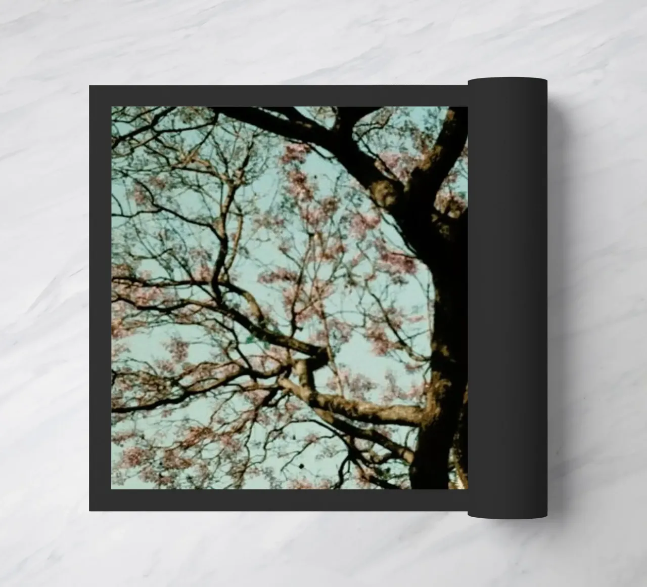 Analog Series The Tree In The City zerbino da Sebastian Hilgetag