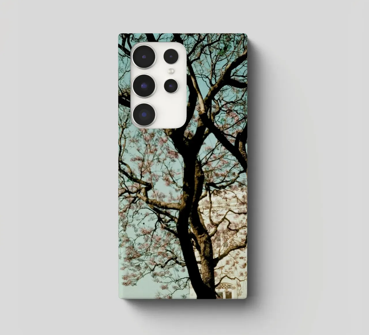 Analog Series The Tree In The City cover samsung da Sebastian Hilgetag