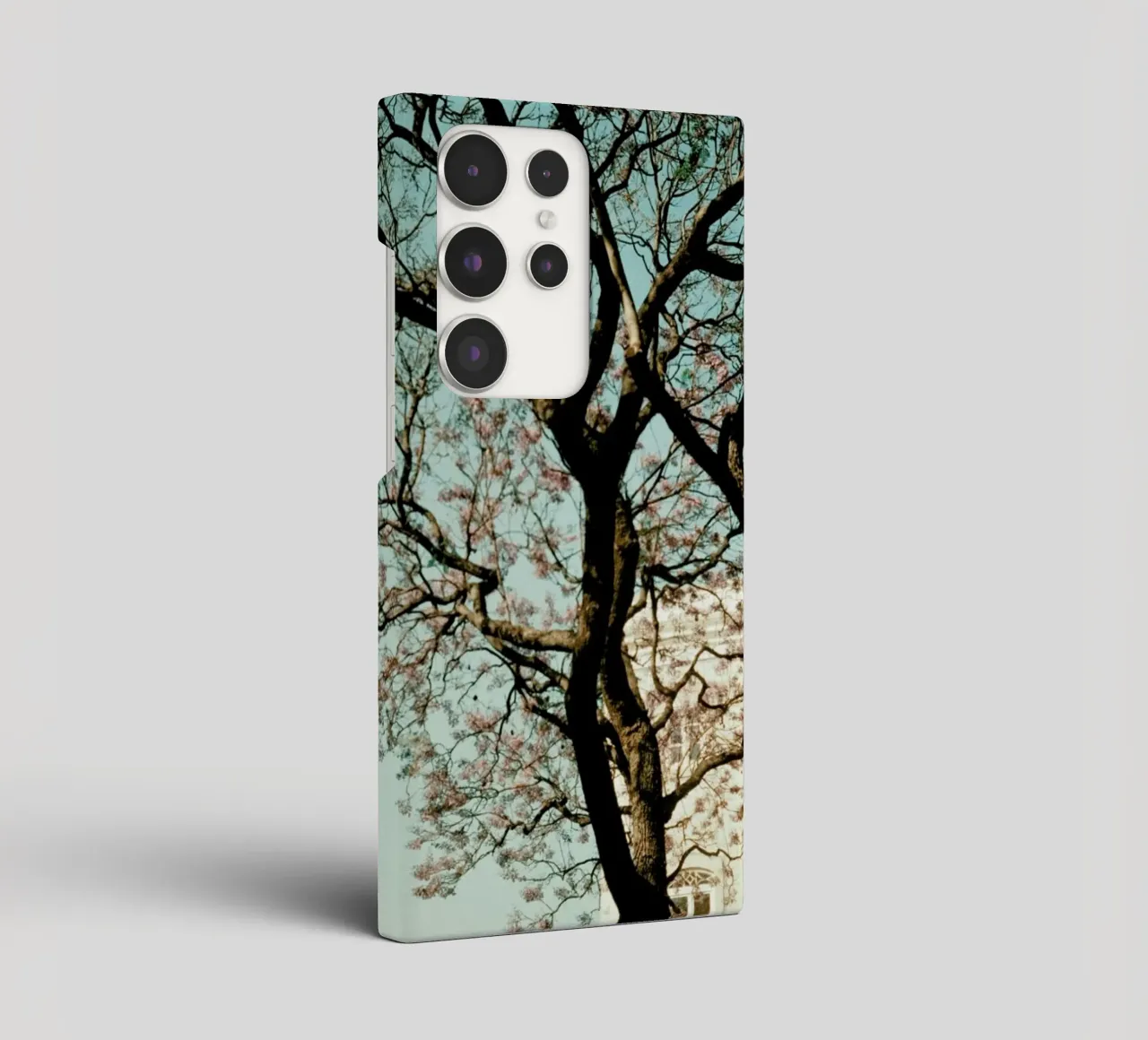 Analog Series The Tree In The City cover samsung da Sebastian Hilgetag
