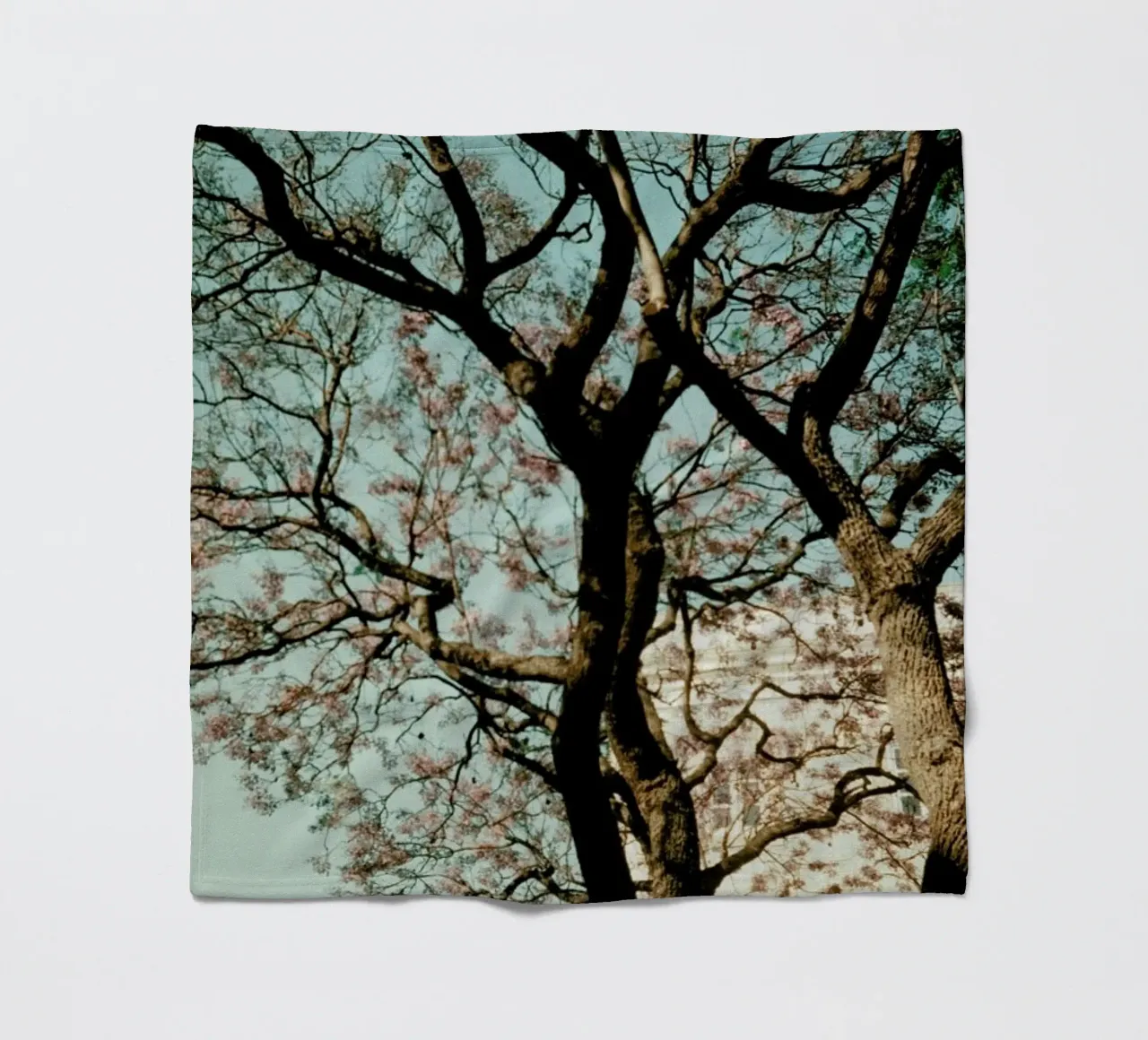 Analog Series The Tree In The City coperta in pile da Sebastian Hilgetag